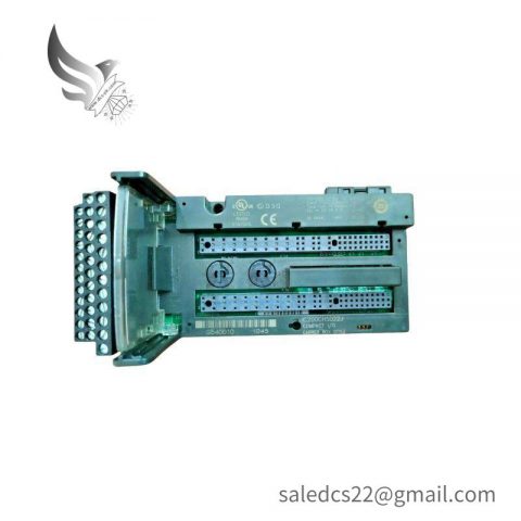 GE IC200CHS022J Analog Input Module