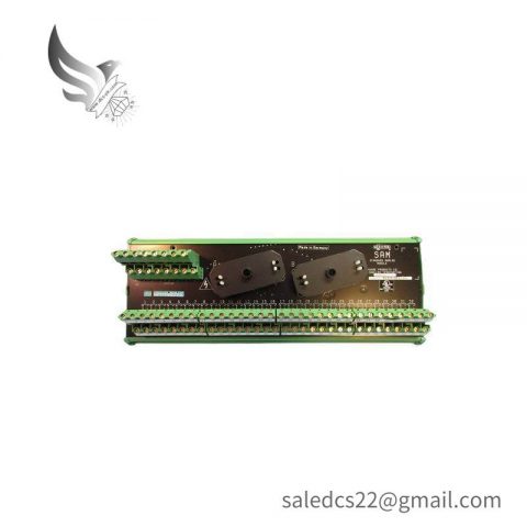 SIEMENS 16169-1-07 Analog Input Module